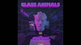 Space Ghost Coast to Coast - Glass Animals & Bree Runway [Clean]