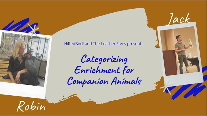 Categorizing Enrichment for Companion Animals