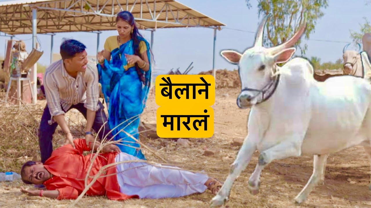 अचानक बैलाने केला हमला 😱 खूप मारलं | 2025 काय केलं नक्की बैलाने बघा