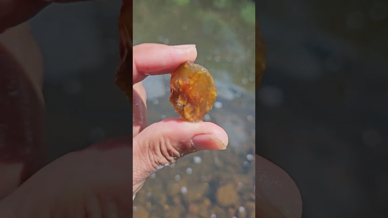 6 de janeiro de 2026