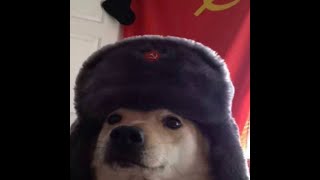Pyro Boi- Mad Gorilla [Hard Bass]