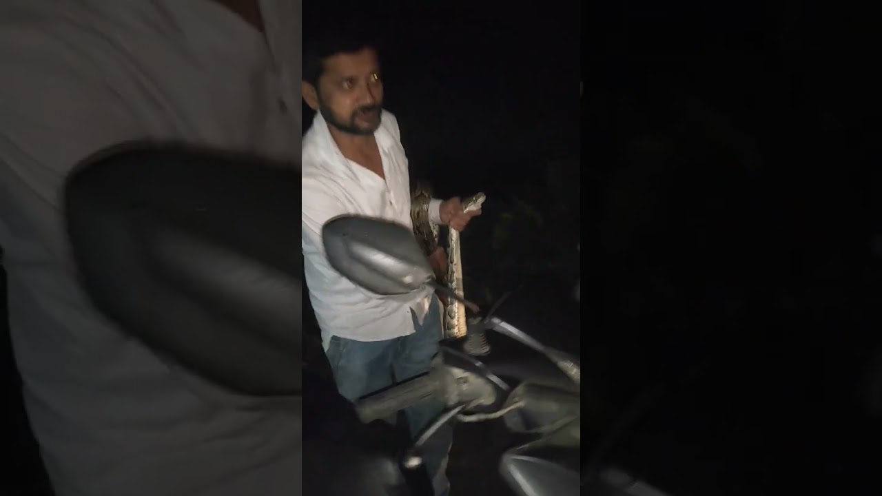 Python rescue at North Guwahati short video