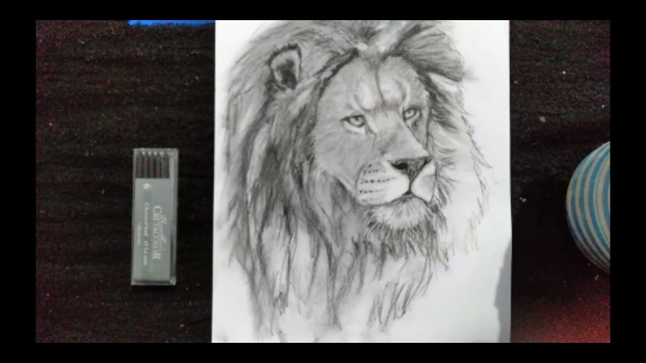 How to draw a lion with charcoal|Real time Tutorial|Artistic Hand - YouTube