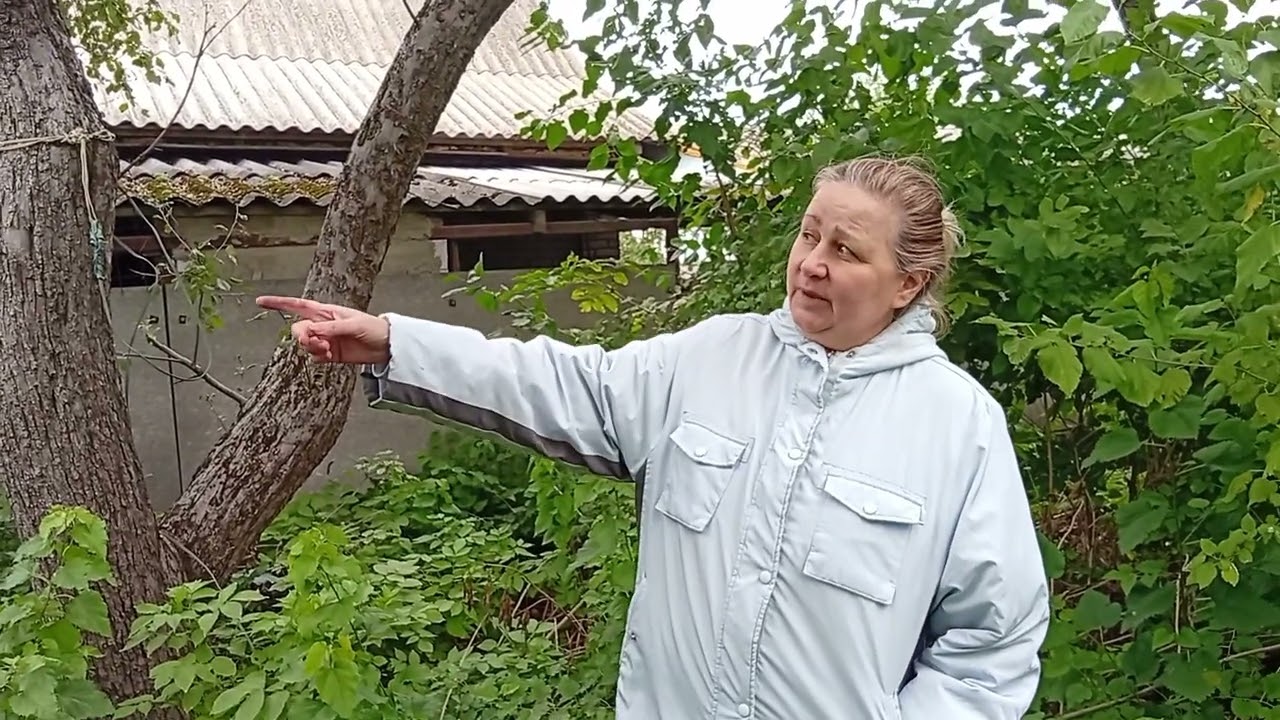 Поиск места для Серой воды  Или куда посадить енергетическую Вербу   Октябрь 2025