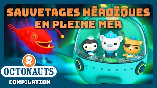 Octonauts - ✨ Sauvetages héroïques en pleine mer ! ⛑️ | Compilation