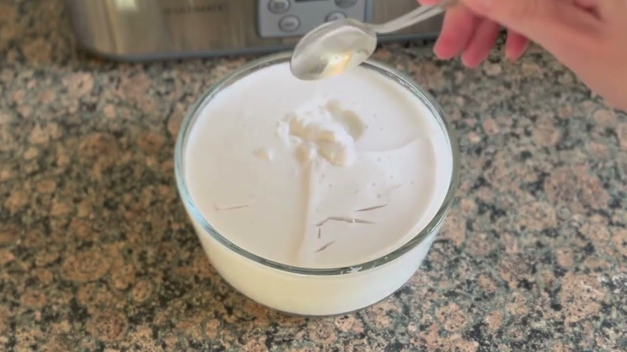 L. Reuteri Coconut Yogurt Using Starter from 1st Batch 