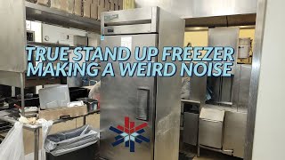 true stand up freezer making a weird noise