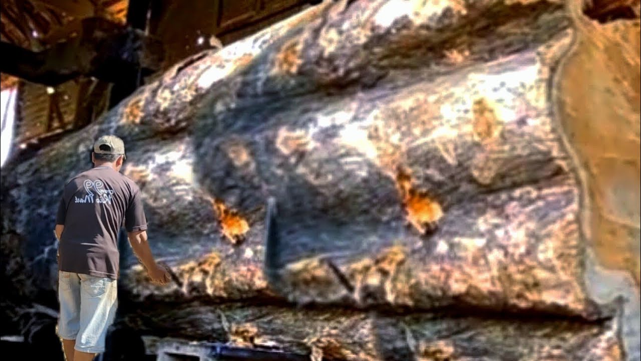 Sawing And Cutting Awesome And Dangerous Haunted Wood In The Sawmill ...