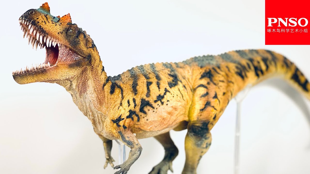 PNSO Nick the Ceratosaurus Review - YouTube