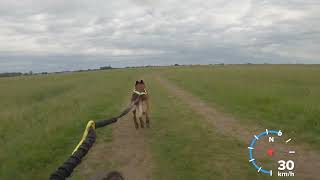 FMBB 2026 Dogscooter Short track 