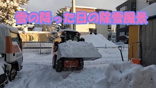 2023.02.03 雪の降った日の除雪風景