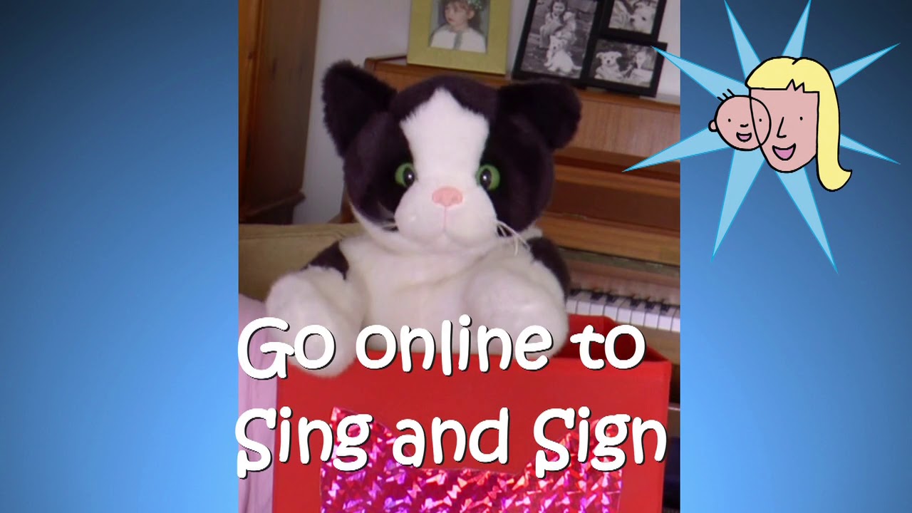 Jessie Cat says "Let's Stay Home!"