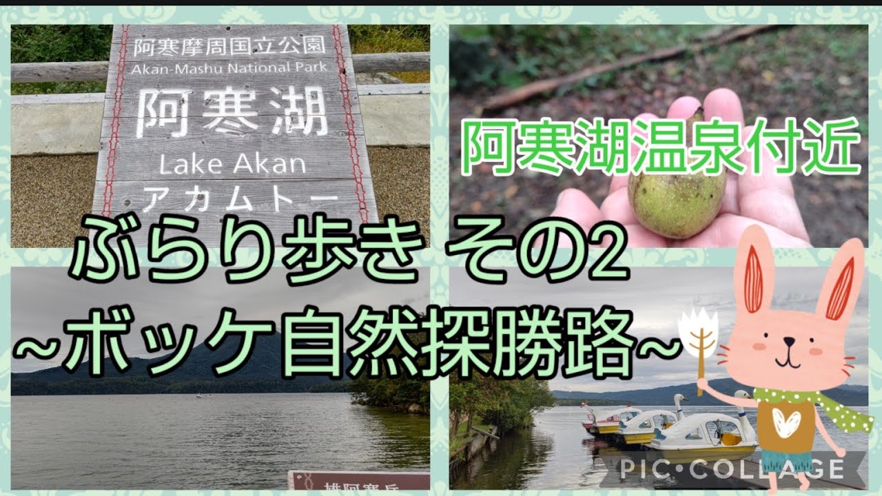 Vol 6 北海道 阿寒湖温泉周辺 ぶらり歩き その2 ボッケ自然探勝路 Youtube