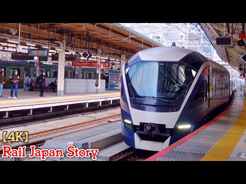 E261 Series SAPHIR ODORIKO Limited Express arriving at Tokyo Station | Train Japan