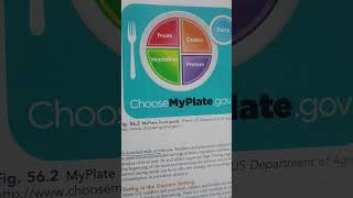 My Plate Food Guide American Paediatric Guideline
