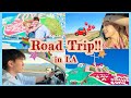【Road Trip】アメリカでレンタカーして320km先のカラフルな山に行ってみた🇺🇸⛰️