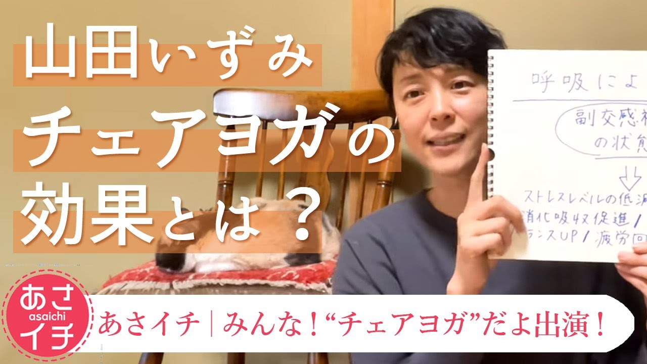 チェアヨガの効果とは？NHKあさイチ出演で話題急上昇！山田いずみ先生が語る