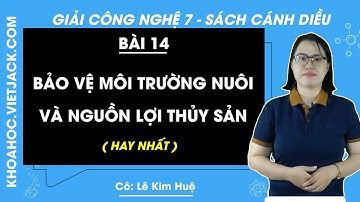 Công nghệ Lớp 7 Bài 14: Bảo vệ môi trường nuôi và nguồn lợi thuỷ sản | Giải Công nghệ 7 | Cánh diều