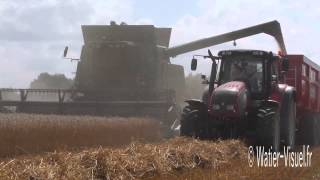 Moisson d'une parcelle de triticale par deux moissonneuses John Deere