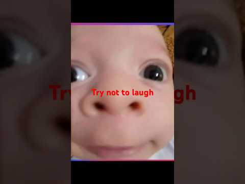 Try not to laugh