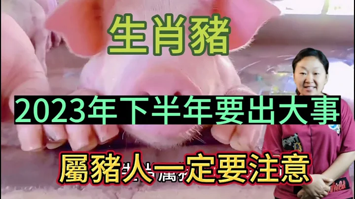 【生肖豬】2023下半年有什麼大事情呢？生肖屬豬人運勢財運又如何呢？本期視頻講述生肖豬！屬豬人來看看唄！#2023 #生肖運勢 #生肖 #生肖財運 #愛華 - 天天要聞