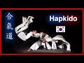 El arte marcial de los soldados coreanos korean hapkido