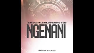 Thandi Draai Ft Kasango, Deep Narratives & Lizwi - Ngenani (Hurricane Bois Remix)