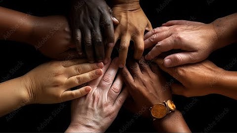 The Spark Project Ep 2