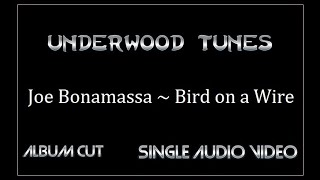 Joe Bonamassa ~ Bird on a Wire (Leonard Cohen cover) ~ 2010 ~ Single Audio Video