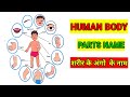 Human Body Parts Name For Kids// Body Parts Name//शरीर के अंगों के नाम हिंदी इंग्लिश में