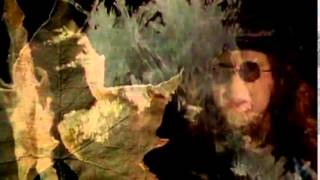 THE MISSION UK - Butterfly On A Wheel [Official Video] HQ