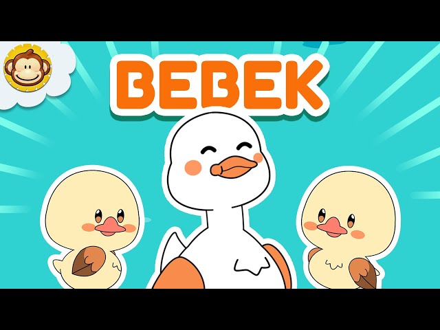 Lagu Anak Anak 🦆 Bebek 🪿 Kompilasi Lagu Anak Indonesia BaLiTa class=