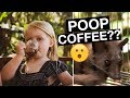 POOP COFFEE?? Jatiluwih Rice Terraces and Luwak Coffee in Bali Indonesia