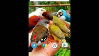 4 app that can help you to hack any kind of games. screenshot 5