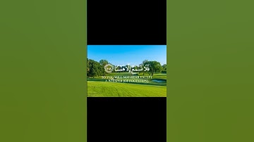 سورة طه الآيات ( 105 - 108 )                       Surah Taha, verses (105-108)