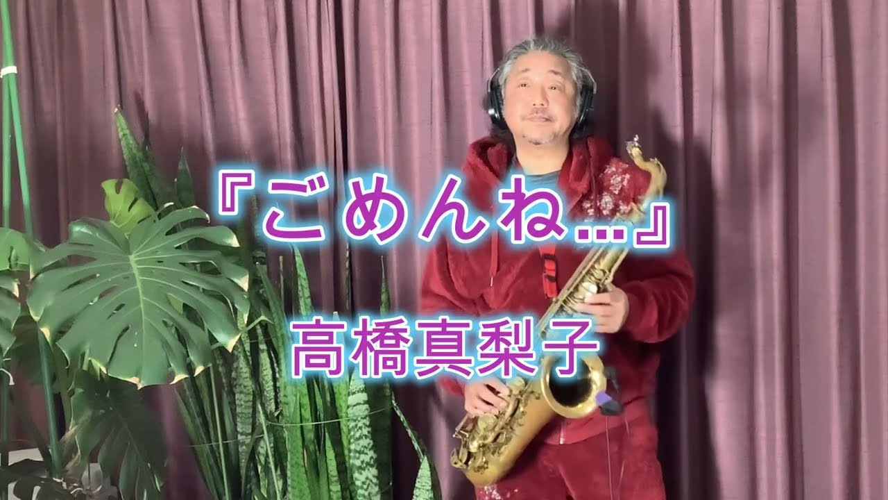 ごめんね…  / 高橋真梨子　テナーサックス🎷