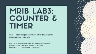 MRIBLAB3:COUNTER & TIMER
