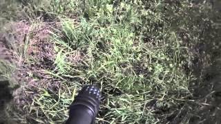 SHWAT Tactical Easter Egg Hunt