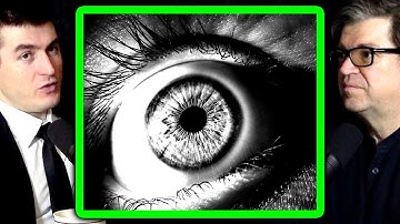 What is consciousness? | Yann LeCun and Lex Fridman
