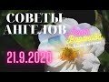 21 сентября 2020/Советы Ангелов/Лена Воронова