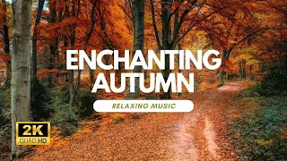 Incredible Fall Foliage - Best Autumn Nature Scenes from Around the World - Calming Music by Heart Music 278 views 5 months ago 3 hours, 14 minutes