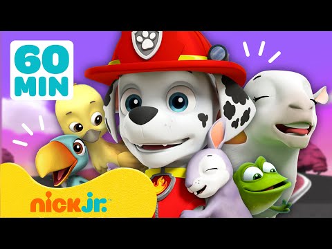 Щенячий патруль | Маршалл спасает животных - ЛУЧШИЕ МОМЕНТЫ! 🦁 | 60-минутная подборка | Nick Jr.