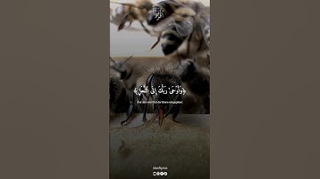 وَأَوْحَىٰ رَبُّكَ إِلَى النَّحْلِ، سورة النحل بصوت القارئ خالد الجليل