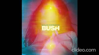 Bush - Mad Love
