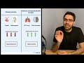 ADH disorders