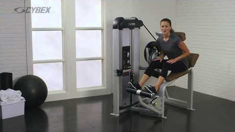 Prestige VRS Back Extension - Cybex International, Inc.