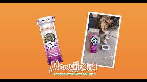😴 The Purr-fect Nightcap for Cats! | Meowijuana Mice Dreams Relaxing Catnip Blend 🌿💤