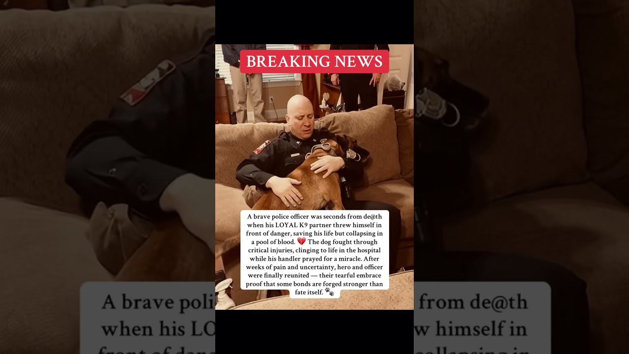 The product everyone’s been DM’ing me about - Now on Amazon (LINK ON BIO) 👆