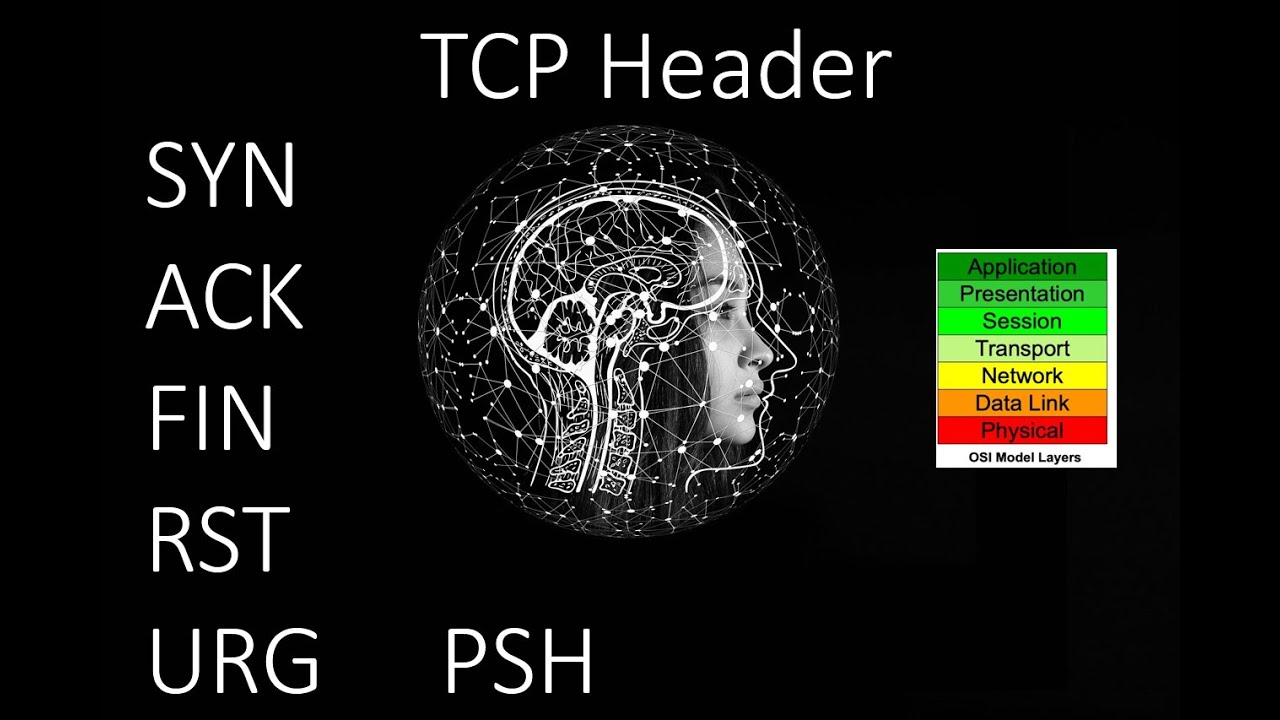 TCP Header Explained - YouTube