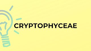 What is the meaning of the word CRYPTOPHYCEAE